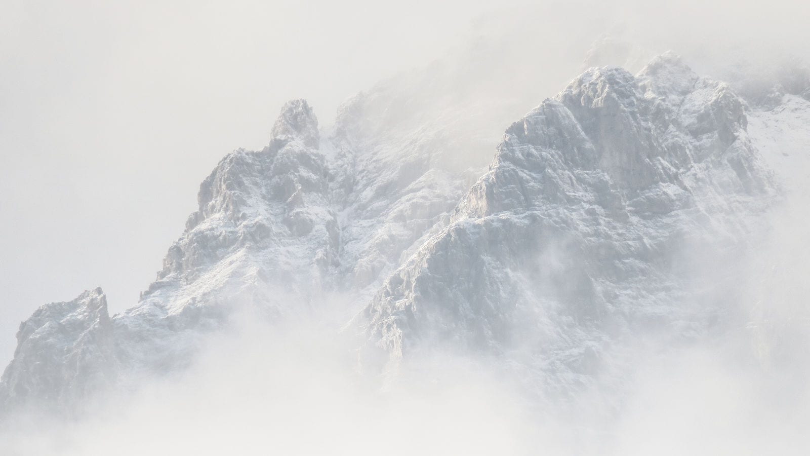 Coins and Sectors in January 2018