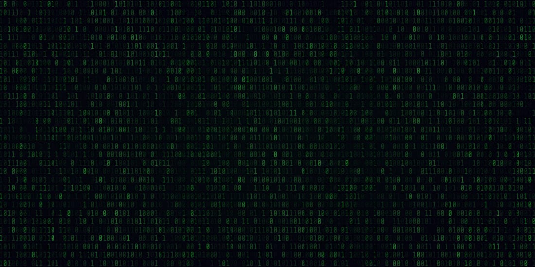Transformace do Crypviz Asset Management