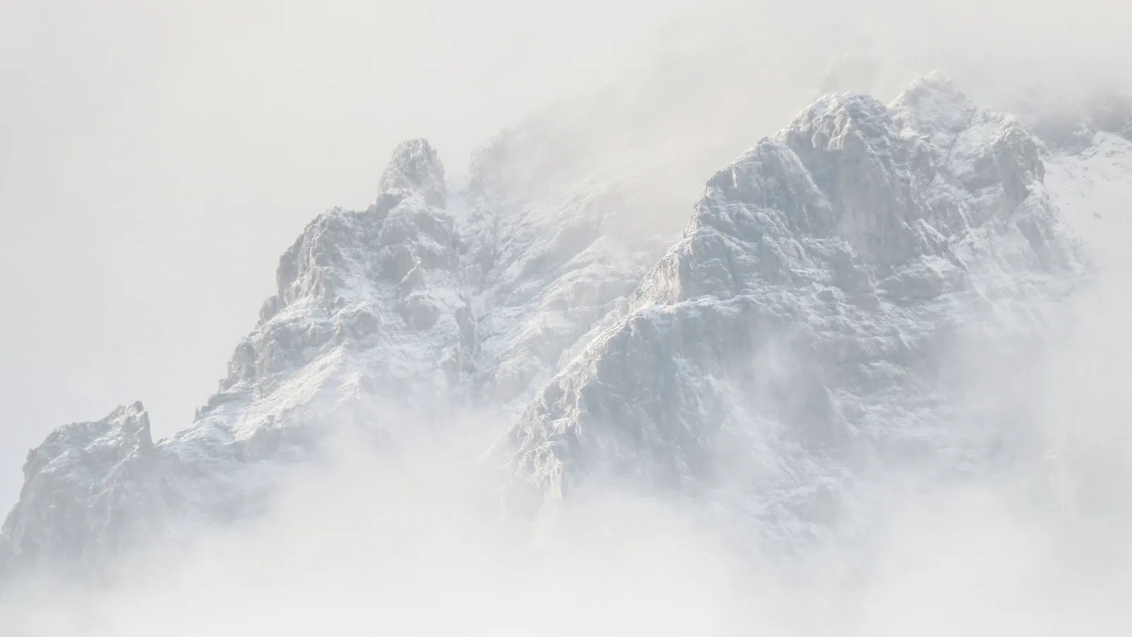 Why is Aragon heavy undervalued