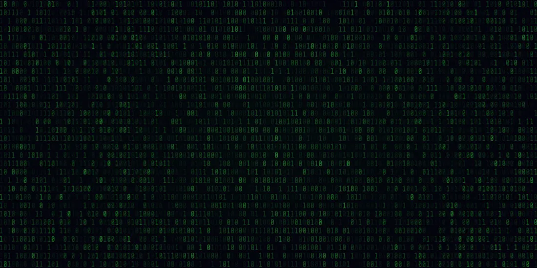 Transformace do Crypviz Asset Management